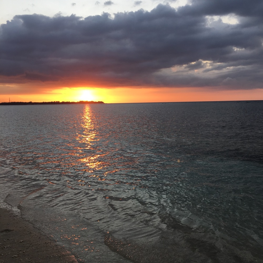 Meet your Posher, Sofia